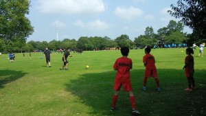 img20160806_017